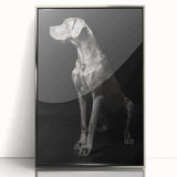 Majestic Great Dane Dog Wall Decor - Dog Art Prints & Gifts