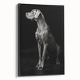 Majestic Great Dane Dog Wall Decor - Dog Art Prints & Gifts
