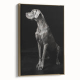 Majestic Great Dane Dog Wall Decor - Dog Art Prints & Gifts