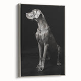 Majestic Great Dane Dog Wall Decor - Dog Art Prints & Gifts
