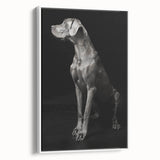 Majestic Great Dane Dog Wall Decor - Dog Art Prints & Gifts