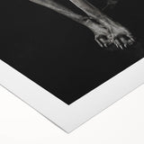Majestic Great Dane Dog Wall Decor - Dog Art Prints & Gifts