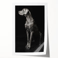 Majestic Great Dane Dog Wall Decor - Dog Art Prints & Gifts