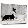 Vibrant acrylic wall art featuring a collection of wild dog designs, displayed in a side view with decorative pins, showcasing intricate details and colors. Perfect for animal lovers and home decor enthusiasts.