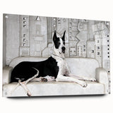 Vibrant acrylic wall art featuring a collection of wild dog designs, displayed in a side view with decorative pins, showcasing intricate details and colors. Perfect for animal lovers and home decor enthusiasts.