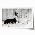 Vibrant wall art print featuring a playful design of various dog breeds in a wild setting, showcasing vivid colors and intricate details, ideal for animal lovers.
