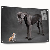 Acrylic glass wall art featuring a vibrant dog design from the 'Animals A Wild Life' collection, showcasing detailed colors and textures, ideal for animal lovers.