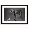 Framed wall art featuring a collection of dogs in a wildlife design, presented in a sleek black frame with a mat, perfect for pet lovers and home decor enthusiasts.