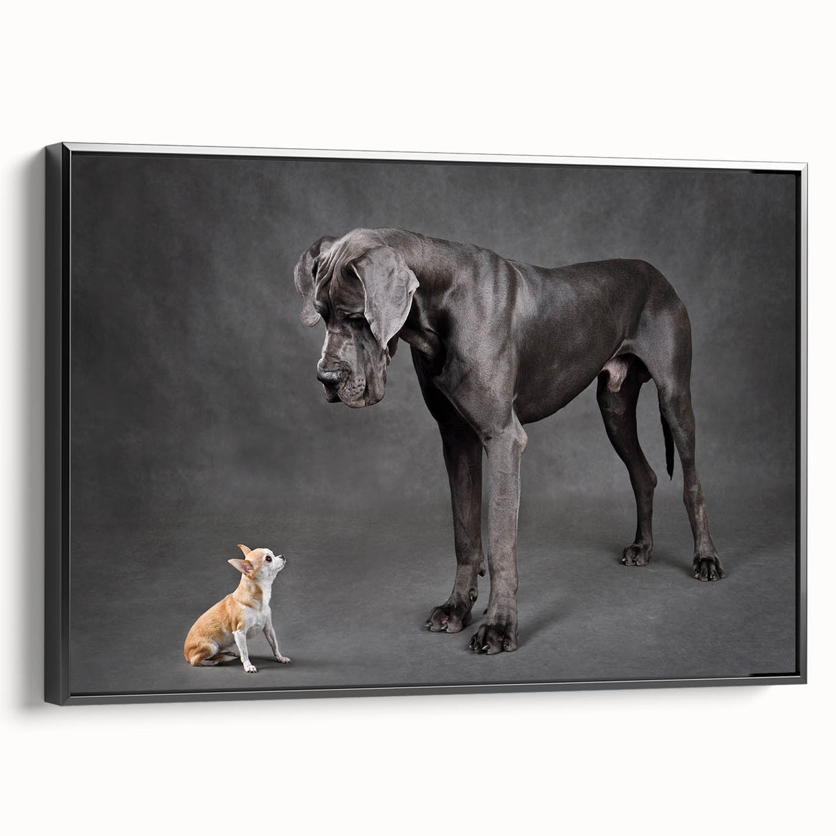 Framed canvas wall art featuring a vibrant design of various dogs in a wild life theme, presented in a sleek black frame, ideal for animal lovers' decor.