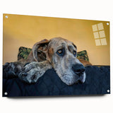 Side view of an acrylic glass wall art piece featuring a vibrant design of various dog breeds, showcasing detailed colors and textures, ideal for pet lovers.