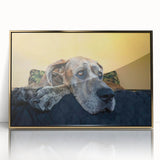 Framed acrylic wall art design featuring an elegant collection of wild dogs, showcasing rich colors and intricate details, perfect for animal lovers and home decor enthusiasts.