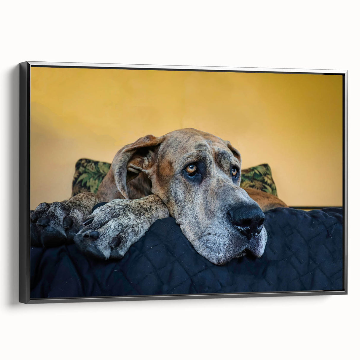 Framed canvas wall art showcasing a vibrant design of various wild dog breeds in a modern style, featuring a sleek black frame, ideal for animal lovers and home decor enthusiasts.