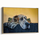Framed wall art featuring a whimsical dog design from the "Animals of the Wild" collection, showcasing vibrant colors and a gold frame, ideal for pet lovers.