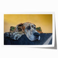 Colorful wall art print showcasing a playful design of various dog breeds against a vibrant background, rolled and ready for stylish home decor. Ideal for animal lovers and modern interiors.