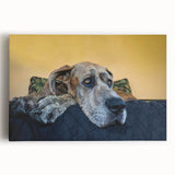 Stretched canvas wall art featuring a vibrant dog design, showcasing playful dogs in various poses against a colorful background, perfect for animal lovers' home decor.