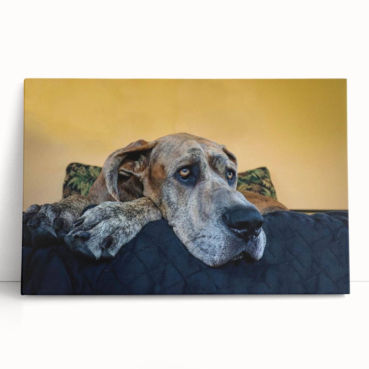 Stretched canvas wall art showcasing a vibrant design of various wild dogs, featuring rich colors and detailed textures, perfect for animal lovers' decor.
