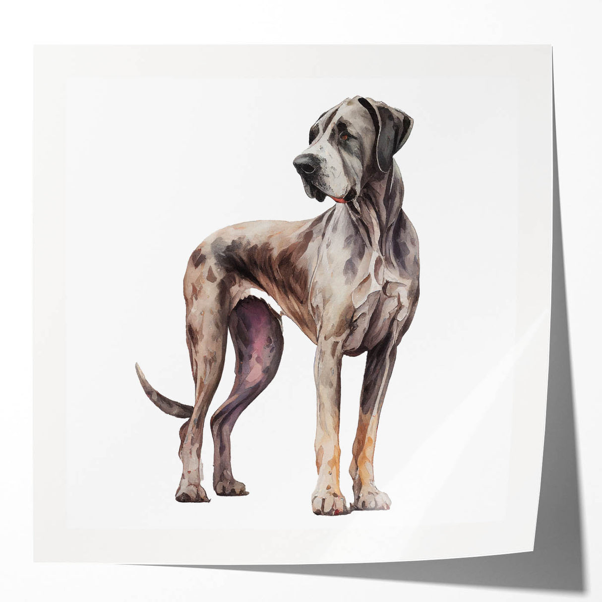 Colorful wall art featuring a vibrant collection of dog illustrations, showcasing playful poses and expressions, perfect for animal lovers and home decor enthusiasts.