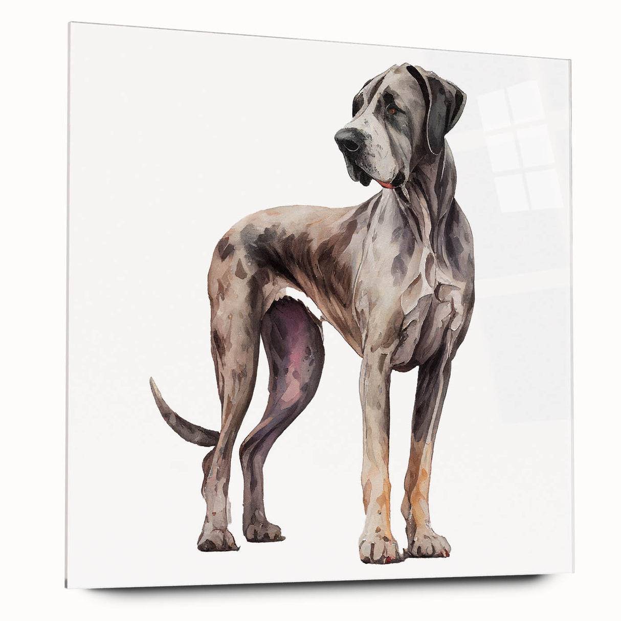 Acrylic glass wall art featuring a vibrant dog design from the "Animals - A Wild Life" collection, showcasing a side view without pins, perfect for home decor.