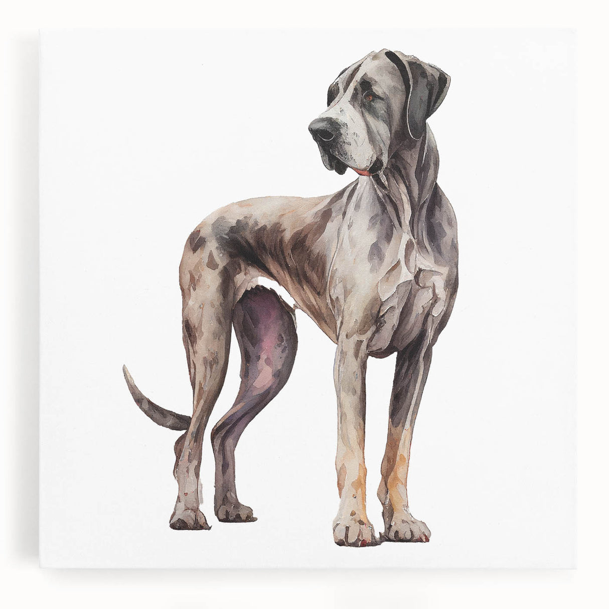 Stretched canvas wall art showcasing a vibrant dog design, featuring playful colors and intricate details, perfect for animal lovers and home decor enthusiasts.