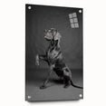 Side view of a vibrant acrylic glass wall art piece showcasing a collection of dog illustrations, featuring colorful designs and mounted with decorative pins. This unique artwork adds a playful touch to any room, perfect for animal lovers.