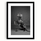 Framed wall art showcasing a vibrant dog design from the "Animals A Wild Life" collection, featuring a sleek black frame and white mat, perfect for animal lovers.