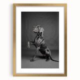 Gold-framed wall art collection featuring a vibrant design of various dogs, showcasing intricate details and textures, perfect for animal lovers' decor.
