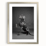 Framed wall art featuring a stylish design of various dog breeds, set in a sleek silver frame with a white mat, perfect for enhancing home decor.
