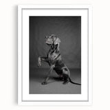 Wall art featuring a collection of playful dog illustrations in vibrant colors, framed with a white mat, perfect for animal lovers' decor.