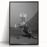 Framed black acrylic wall art featuring a vibrant design of dogs in a wild life theme, showcasing detailed colors and playful expressions, ideal for animal lovers.