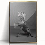 Framed wall art showcasing a vibrant design of wild dogs in a gold-acrylic frame, ideal for animal lovers and home decor enthusiasts, enhancing any living space.