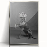 Framed wall art collection showcasing a vibrant dogs design, featuring a sleek silver frame and acrylic front for a modern touch, perfect for animal lovers.