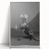 Framed wall art featuring a vibrant design of various dog breeds in a wild life theme, set against a white background, ideal for pet lovers' home decor.