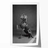 Rolled print of a vibrant dog-themed wall art design featuring various breeds in playful poses, ideal for animal lovers, presented in a protective tube.