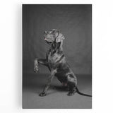 Stretched canvas wall art featuring a vibrant design of various dog breeds in a wild-life theme, showcasing detailed fur textures and bright colors, ideal for pet lovers.