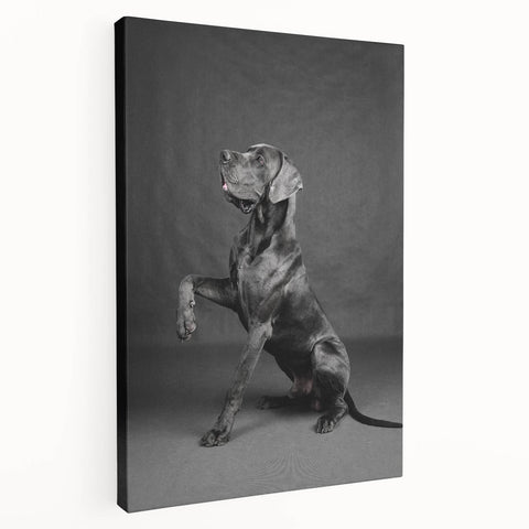 Stretched canvas wall art showcasing a playful dog design in vibrant colors, perfect for pet lovers and home decor enthusiasts. Ideal for adding a whimsical touch to any room.