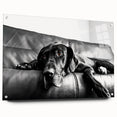 Acrylic wall art collection showcasing a vibrant design of dogs in a wild-life theme, displayed from a side view with decorative pins, perfect for animal lovers.