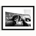 Framed wall art collection showcasing a striking design of various dog breeds, featuring a sleek black frame and white matting, ideal for animal lovers' decor.