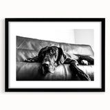 Framed wall art collection showcasing a striking design of various dog breeds, featuring a sleek black frame and white matting, ideal for animal lovers' decor.