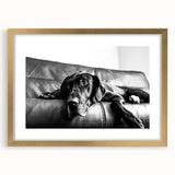 Framed wall art collection showcasing a vibrant dog design with a gold mat, perfect for animal lovers. The artwork features playful colors and intricate details, ideal for home decor.