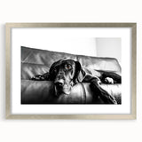 Framed wall art collection showcasing a scenic design of wild dogs in their natural habitat, featuring a sleek silver frame and mat, perfect for animal lovers.