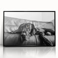 Framed wall art showcasing a design of playful dogs in a vibrant wild-life theme, featuring a sleek black frame and acrylic front, ideal for pet lovers' decor.