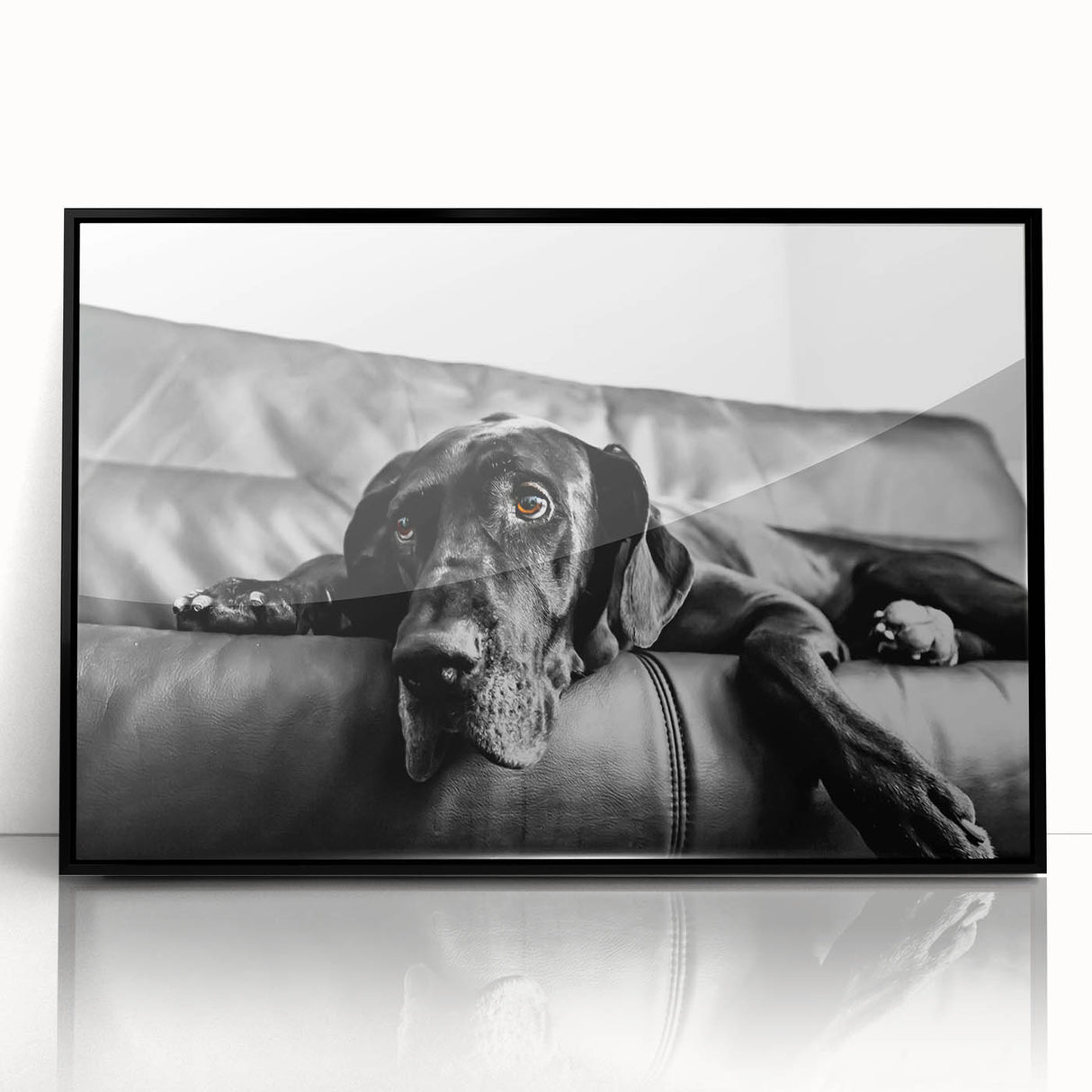 Framed wall art showcasing a design of playful dogs in a vibrant wild-life theme, featuring a sleek black frame and acrylic front, ideal for pet lovers' decor.