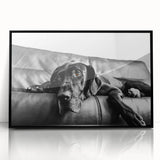 Framed wall art showcasing a design of playful dogs in a vibrant wild-life theme, featuring a sleek black frame and acrylic front, ideal for pet lovers' decor.