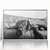 Framed acrylic wall art featuring a vibrant dog design, showcasing playful colors and intricate details, perfect for pet lovers’ home décor.