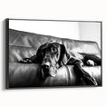 Framed canvas wall art featuring a vibrant dog design from the Animals A Wild Life collection, showcased in a sleek black frame, perfect for animal lovers' decor.