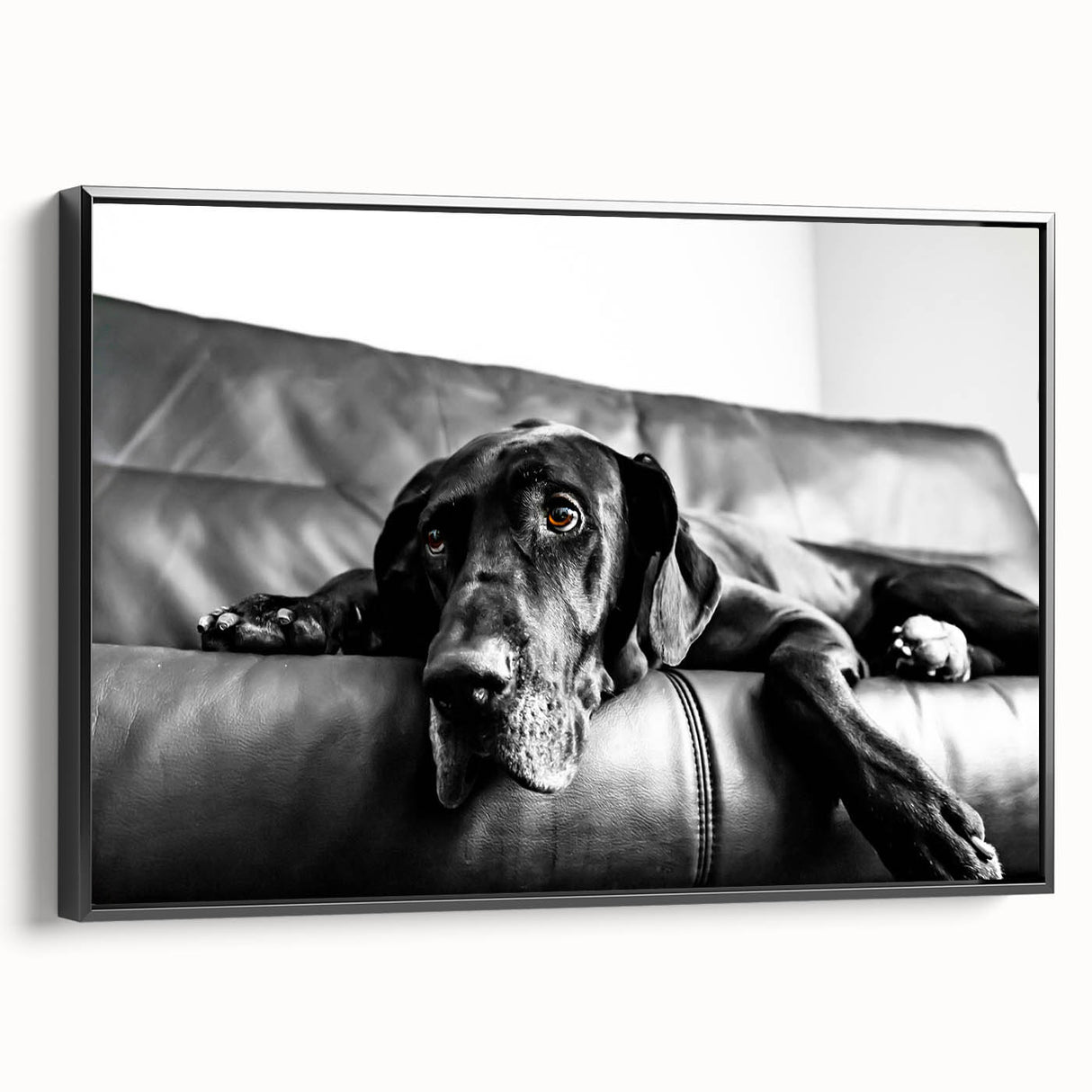 Framed canvas wall art featuring a vibrant dog design from the Animals A Wild Life collection, showcased in a sleek black frame, perfect for animal lovers' decor.