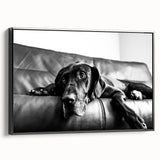 Framed canvas wall art featuring a vibrant dog design from the Animals A Wild Life collection, showcased in a sleek black frame, perfect for animal lovers' decor.
