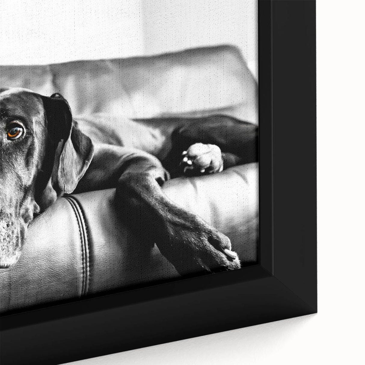 Close-up of a framed wall art canvas featuring a vibrant dog design, showcasing playful colors and intricate details, perfect for animal lovers' home decor.