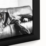 Close-up of a framed wall art canvas featuring a vibrant dog design, showcasing playful colors and intricate details, perfect for animal lovers' home decor.