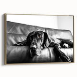 Framed canvas wall art showcasing a vibrant dog design, featuring a gold frame and side view, perfect for animal lovers and home decor enthusiasts.